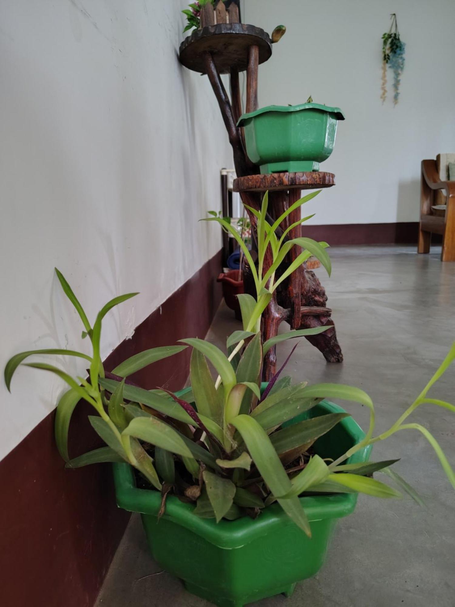 Gayatri Homestay Dibrugarh Zewnętrze zdjęcie